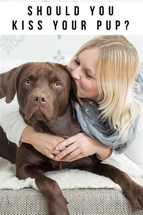 How Do Puppies Show Affection