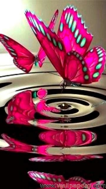 Download Pink Butterfly 3d Abstract Wallpaper Download Free Hd