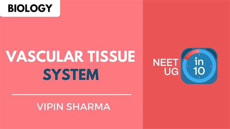 Vascular Tissue System Neet Biology Neet Ug In 10 Youtube