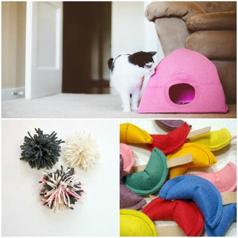 Homemade Cat Enrichment Toys Wow Blog