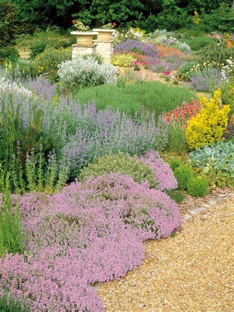 304 Best Rock Gardens And Ground Covers Images On Pinterest Garden