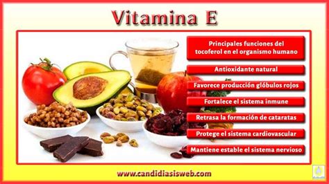 Es Una Vitamina Liposoluble Que Posee Propiedades Antioxidantes Y Que