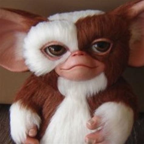 We did not find results for: Steven Spielberg saved Gizmo from being the leader of the ...