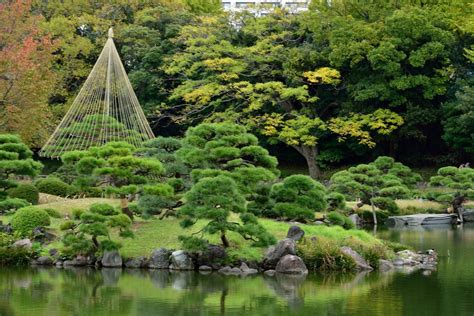 10 Best Japanese Gardens In Tokyo Tokyo Top Guide