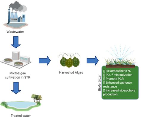 Frontiers Valorization Of Wastewater Resources Into Biofuel And Value