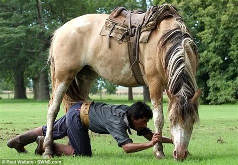 Meet The Worlds Best Horse Whisperer Martin Tatta Daily Mail Online