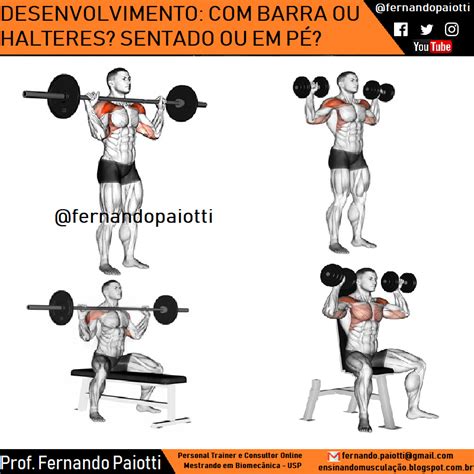 Desenvolvimento Trabalha Qual Musculo
