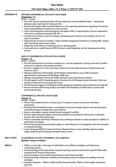 A commercially experienced database analyst cv program manager | an example of how to write a profile for a perfect cv. Resume Examples Finance Manager - Best Resume Examples