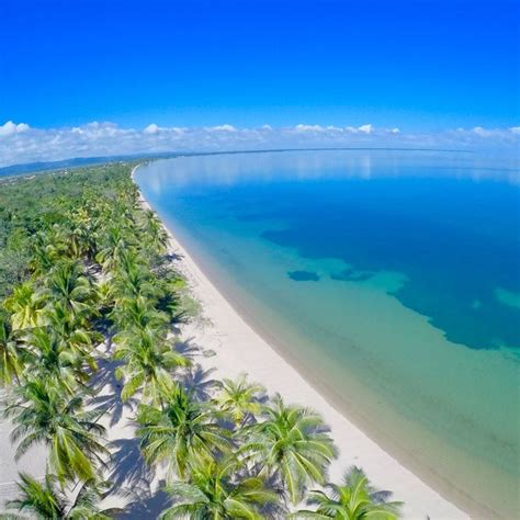 An Aerial View Of Palm Trees On The Beach With Clear Blue Water In The Background