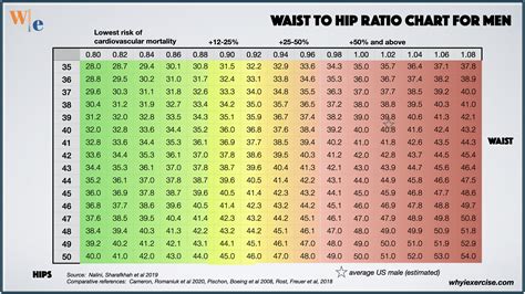 Waist To Hip Ratio Reliable Research Shows If You Need To Lose Weight