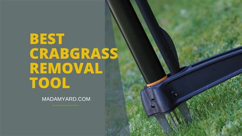 5 Best Crabgrass Removal Tool Best Weed Pullers