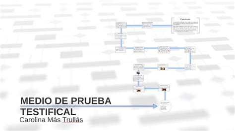 Medio De Prueba Testifical By Carolina Mas Trullas On Prezi