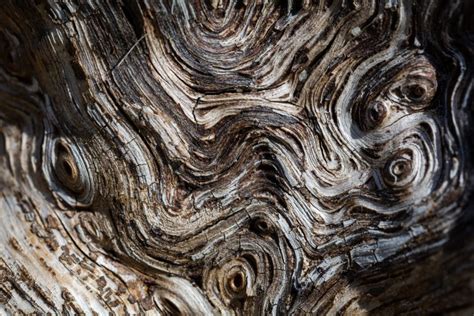 Wavy Texture On Wood Copyright Free Photo By M Vorel Libreshot