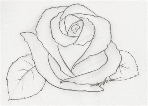 Cute Pencil Rose Drawing Easy Images Gallery