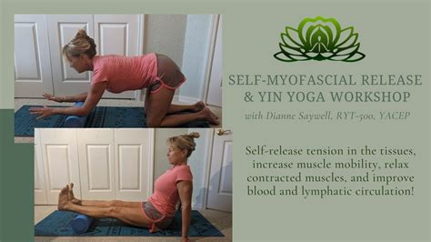 self myofascial release and yin yoga workshop evergreen holistic yoga and massage north port