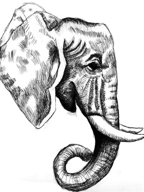 Elephant Side View Elephant Drawing Elephant Head Drawing Elephant