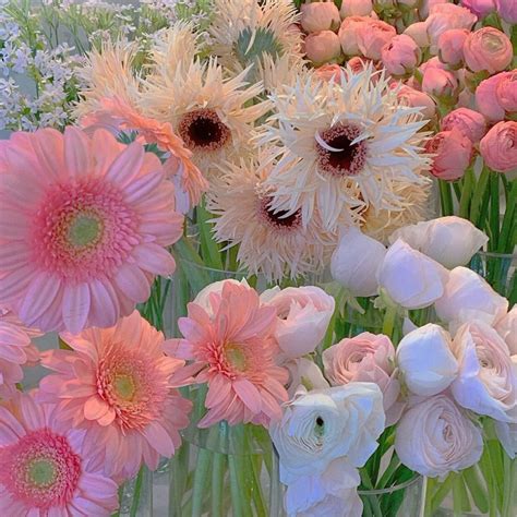 𝓁𝒾𝓁𝓎🍒 Flower Aesthetic Pretty Flowers Beautiful Flowers