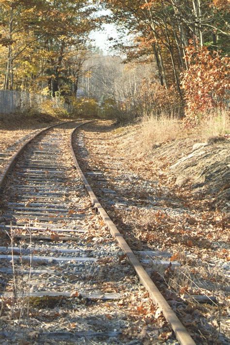 Abandoned Train Tracks In Southern Maine Smithsonian Photo Contest