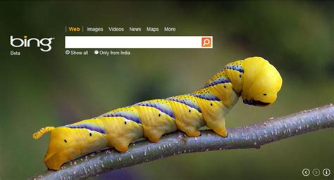 Download Bing Wallpaper Today Release Date Specs Re Redesign And