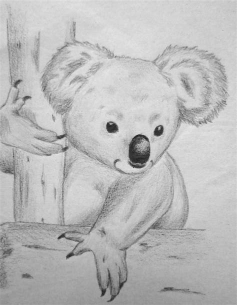 810x987 simple black and white drawing ideas simple tribal animal 1150x1300 free coloring pages printable pictures to color kids drawing ideas Koala. Nature. Drawings. Pictures. Drawings ideas for kids ...