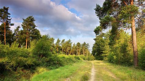 Landscape Nature Lake Sky Grass Green Wallpaper Coolwallpapersme