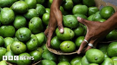 Philippines Faces Two Million Kilogram Mango Surplus