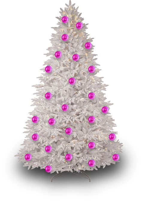 It has strong branches that grow upwards and has medium density. Christmas Tree PNG by dbszabo1 on DeviantArt