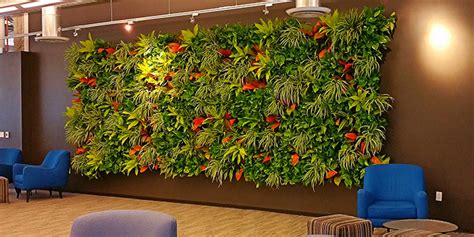 Ultimate Guide To Living Green Walls Ambius