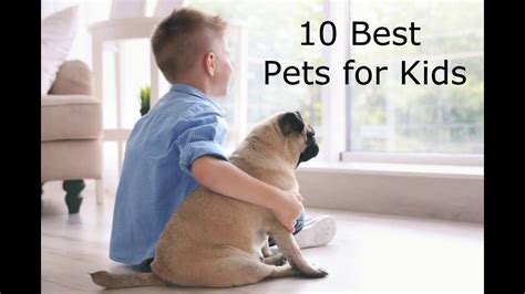 10 Best Pets For Kids Youtube