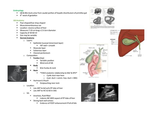 Abd I Test 3 Gallbladder Anatomy Pathology Ultrasound