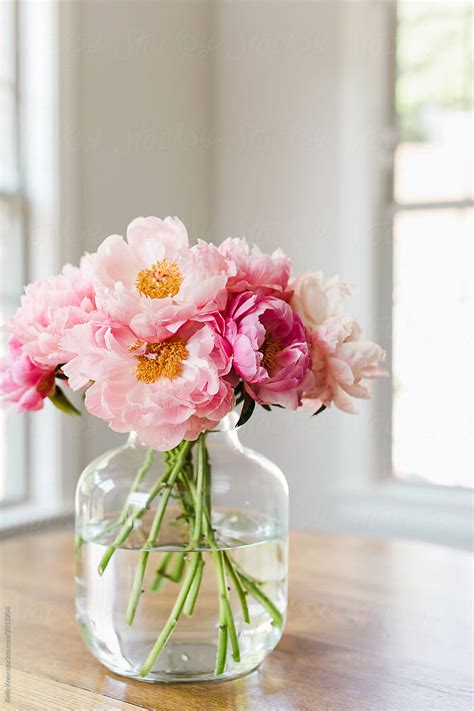 Bouquet Of Pink Peonies In A Glass Vase In A Light Filled Room Del Colaborador De Stocksy