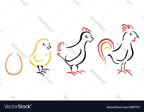 Chicken Farm Royalty Free Vector Image Vectorstock