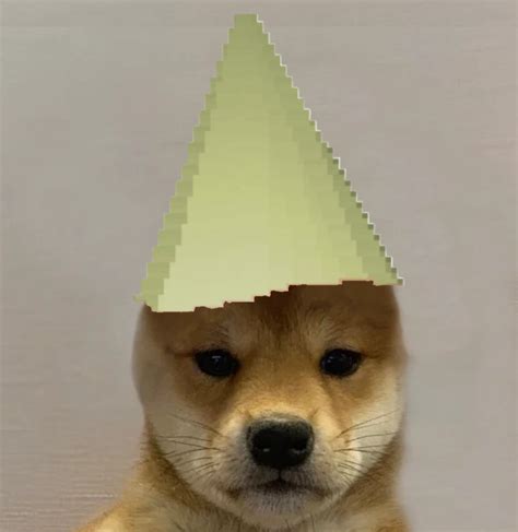 Dogwifhat Dogwithhat Gnome Child Profile Picture R2007scape