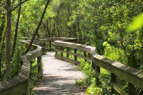 12 Best Hikes In Orlando You Shouldnt Miss Florida Trippers