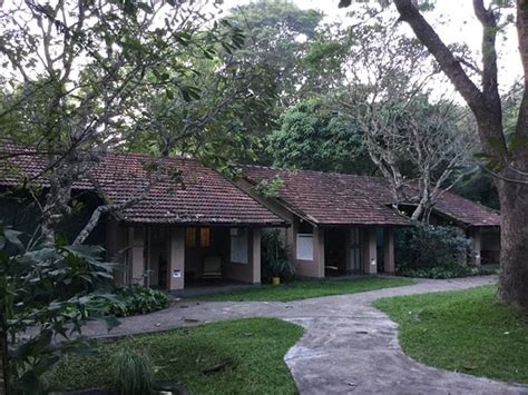 Sigiriya Village Hotel Sri Lanka Reviews Photos And Price Comparison