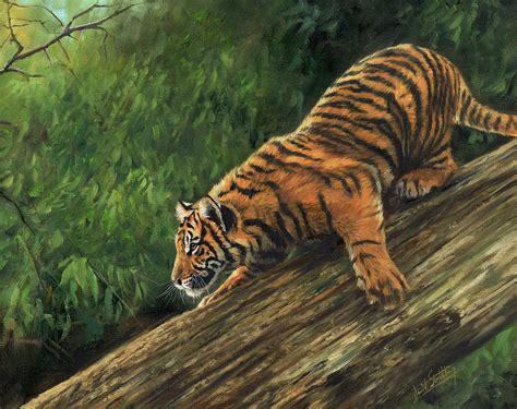 Tiger Descending Tree Painting By David Stribbling Pixels