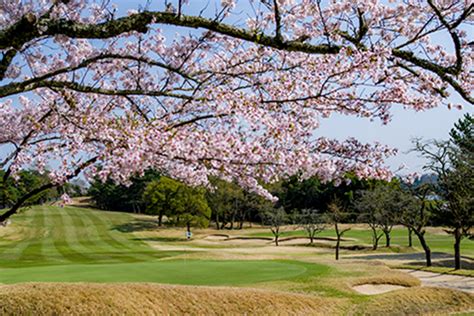 Naruo Golf Club Golfcourse