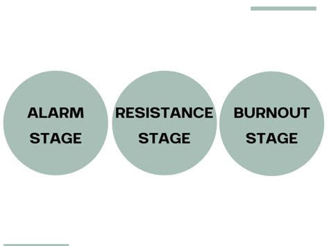 The 3 Stages Of Adrenal Fatigue Synergised