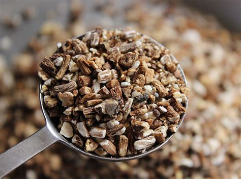 Dandelion roots are a weeds to many. Dandelion Root Benefits as a Cleansing Herb