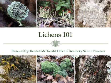 Webinar Lichens 101 Floracliff Nature Sanctuary