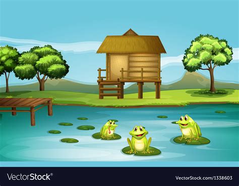 A Pond With Three Playful Frogs Royalty Free Vector Image