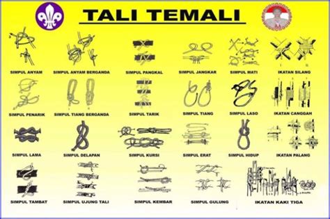 21 Tali Temali dalam Pramuka, Simpul, Ikatan, Jerat, Pionering Lengkap