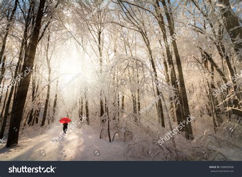 Beautiful Winter Sunrise Snow Scene Woman Stock Photo