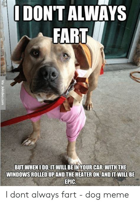 25 Best Memes About Funny Pitbull Memes Funny