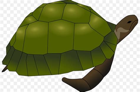 Sea Turtle Common Snapping Turtle Clip Art Png 800x540px Turtle