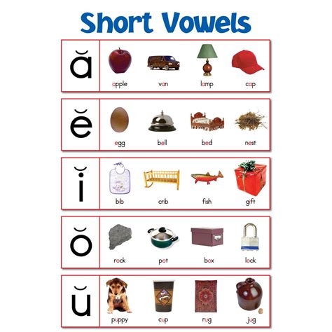Short Vowels Educational Laminated Chart
