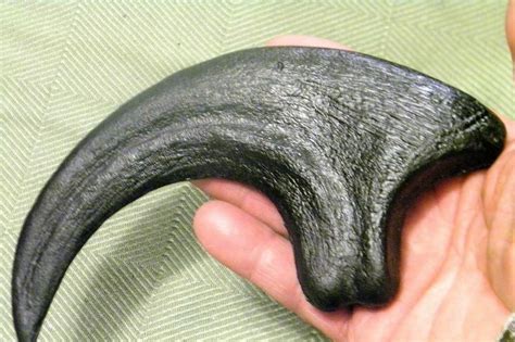 Utahraptor Claw Replica 9 Inches Long Black Resin Model In 2023 Life