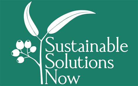 Sustainable Solutions Now