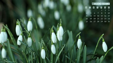 March 2011 Widescreen Wallpapers Hd Wallpapers Free W