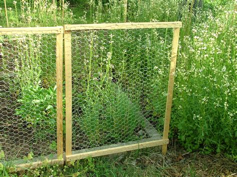 20 Things To Know About Vegetable Garden Fence Chicken Wire House